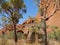 The Mala walk at Ayers rock