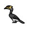 malabar pied hornbill bird exotic color icon vector illustration