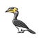 malabar pied hornbill bird exotic color icon vector illustration