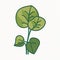 Malabar Spinach Vegetable Cute Playful Flat Icon by Generative AI