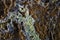 Malachite and azurite background