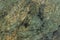 Malachite deep green natural marble grunge texture