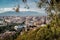 Malaga cityscape