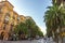 Malaga, Spain / 04. 03. 2019: Big palm trees on the Alameda de colon street in the city of Malaga Spain mediterrean cityscape