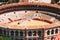 Malaga, Spain. Seagull flying over Plaza de Toros de Ronda bullring in Malaga, Spain. La Malagueta is the bullring