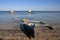 Malagasy fishermen and their outrigger canoes