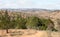 Malagasy landscape between Andasibe and Antsirabe, Madagascar