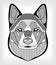 Malamute hound head, black and white drawing on gray background. symmetric head with hatching and patterns. For use as ta