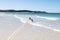 Malamute or Husky dog playing in the waves of a large beach in Brittany in summer