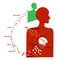 Malarian plasmodium life cycle. Vector drawing image.