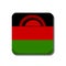 Malawi flag button icon isolated on white background