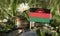 Malawi flag with stack of money coins with grass