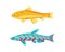 Malawi Yellow Zebra Fish Set Vector Illustration