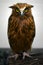 Malay Fish Owl