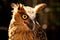 Malay Fish Owl (Bubo ketupu)