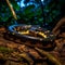 The Malayan krait (Bungarus candidus) in its natural habitat in Thailand