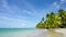 Malaysia beach, long palm trees hang over the Indian ocean. Beach and sea background.