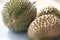 Malaysia famous fruits Blackthorn durian