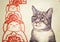 MALAYSIA, PENANG, GEORGETOWN - CIRCA JUL 2014: Mural with realistic picture of a tortoiseshell cat beside red, stylized rendering