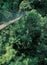 Malaysia: Walking over the hanging bridge over the Taman Negara rainforest