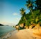 Malaysian Beach Seascape Summer Nature Travel Concept