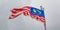 Malaysian Flag II