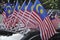 Malaysian Flag Parade by Malaysian citizen