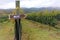 Malbec vineyards in Mendoza Province, Argentina