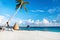 Maldives beach with swings on palm tree