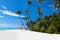 Maldives beach with swings on palm trees