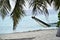 Maldives, beautiful view of hammock hanging on the palm tree  S
