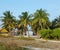 Maldives. Fishing island. Tall fluffy palm trees.