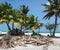 Maldives. Fishing island. Tall fluffy palm trees.