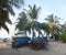 Maldives. Fishing island. Tall fluffy palm trees.