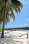 Maldives island, sandy beach, palm and hammock