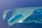 Maldives islands archipelago beautiful aerial view