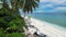 Maldives islands, tropical beach with coconut palms and blue ocean. Aerial view between the palm trees