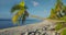 Maldives tropical beach on island. Summer and tropical vacation concept. Sandy beach in tropics