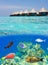 Maldives. Water villas and the underwater world wi