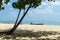 MALDIVES â€“ November 19, 2017: Tropical beach nature landscape, Kaafu Atoll, Kuda Huraa Island