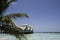 Maldivian Lagoon with Waterhuts and Palmtree