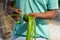 Maldivian man making souvenirs from the palm tree leaves