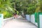 A maldivian street with typical buildings and palm trees