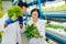 Male agriculturist talking to his female colleague while analyzing greens