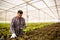 Male agronomist with tablet in hand that follows how salad grows