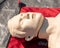 Male anatomical manikin used for CPR and resuscitation training.