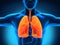 Male Anatomy of Human Respiratory System