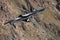 Male andean condor flying close