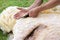 Male arms shaving wool from sheep with scissors