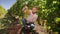 Male as harvest assistant in manual grape selection in vineyard. Hand farmer